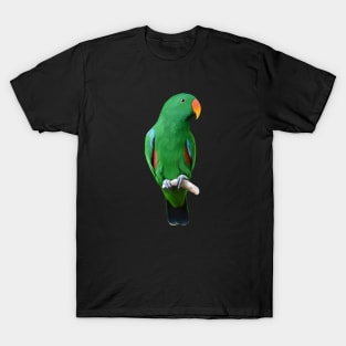 Male Eclectus Parrot T-Shirt